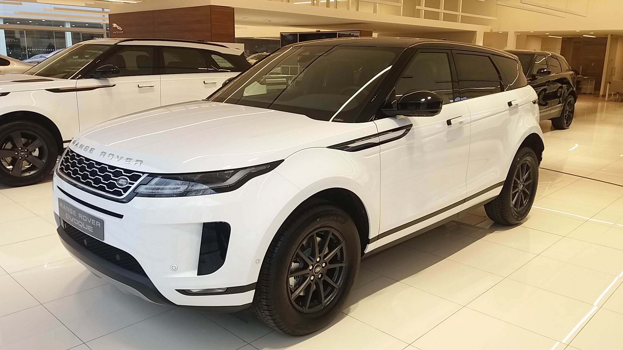 Nuevo Range Rover Evoque D163 AWD Auto [2021] - MOTOR ARABA 4X4